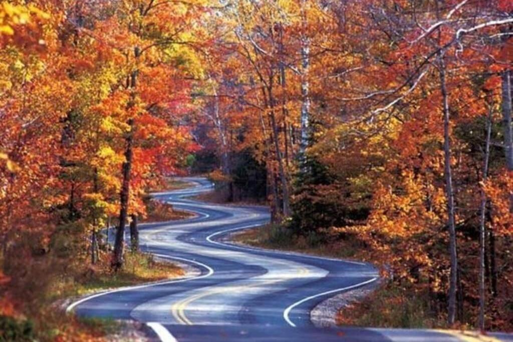 Villa Honeymoon Getaway In Woods Near Noc And Smoky Mtn Rr Bryson City Esterno foto
